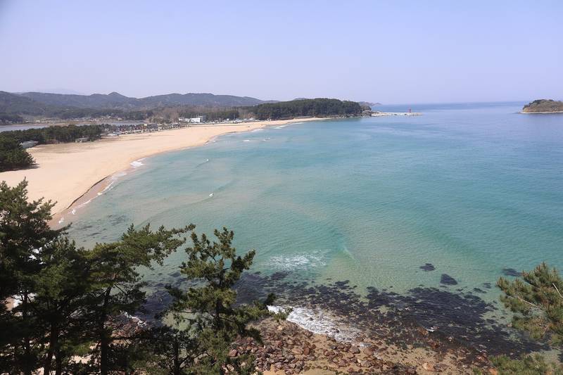 언덕 위에서 내려다본 화진포해수욕장의 모래사장과 바다